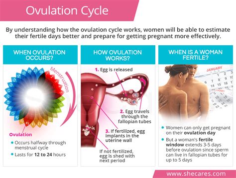 ovulation porn|Free Ovulating Porn Videos (169) .